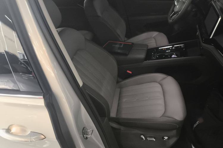 Used Volkswagen Viloran 2024 330TSI Luxury Edition Right Front Seat