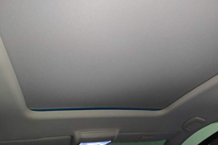 Used Volkswagen Viloran 2020 330TSI Luxury Edition Headliner