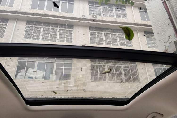 Used Volkswagen Viloran 2020 380TSI Flagship Edition Headliner