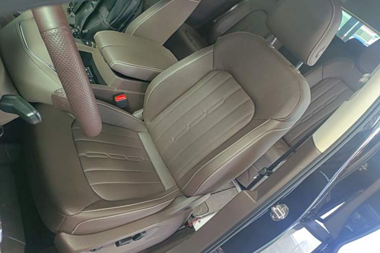 Used Volkswagen Viloran 2020 330TSI Luxury Edition Left Front Seat
