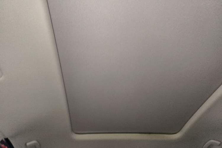 Used Volkswagen Viloran 2020 330TSI Luxury Edition Headliner