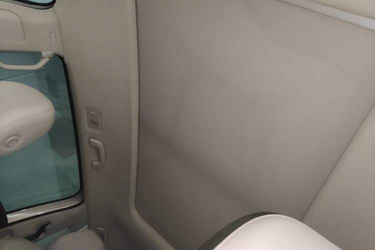 Used Volkswagen Viloran 2020 330TSI Luxury Edition Headliner