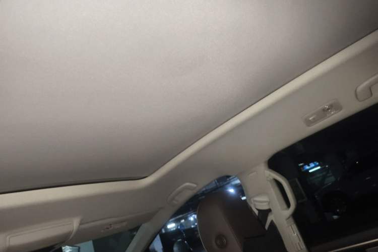 Used Volkswagen Viloran 2020 330TSI Luxury Edition Headliner