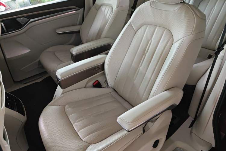 Used Volkswagen Viloran 2020 330TSI Luxury Edition Left Rear Seat