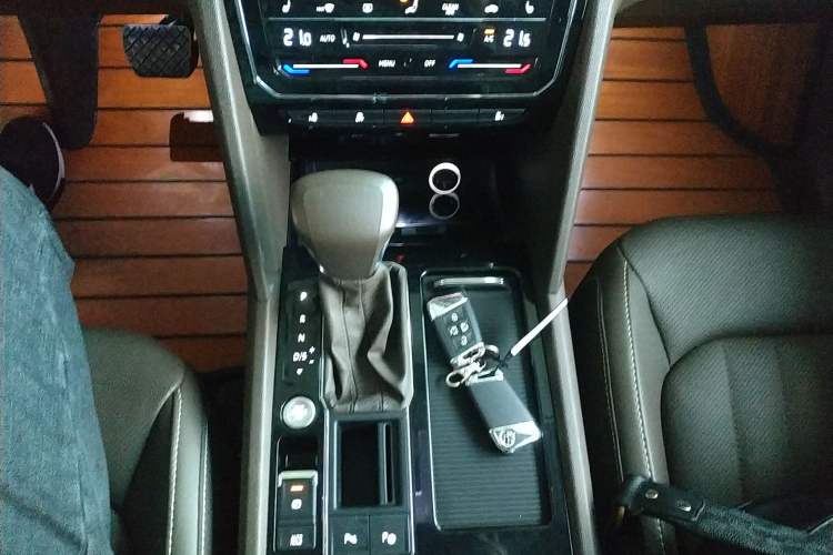 Used Volkswagen Viloran 2020 330TSI Luxury Edition Gear Lever