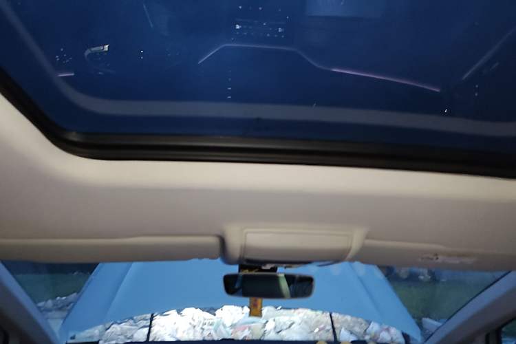 Used Volkswagen Viloran 2020 330TSI Luxury Edition Headliner