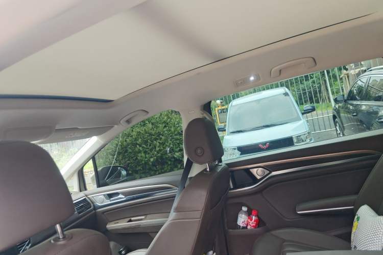 Used Volkswagen Viloran 2020 330TSI Luxury Edition Headliner