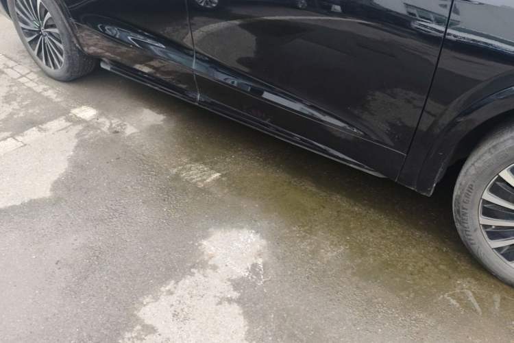 Used Volkswagen Viloran 2022 380TSI Prestige Edition Right Side Sill