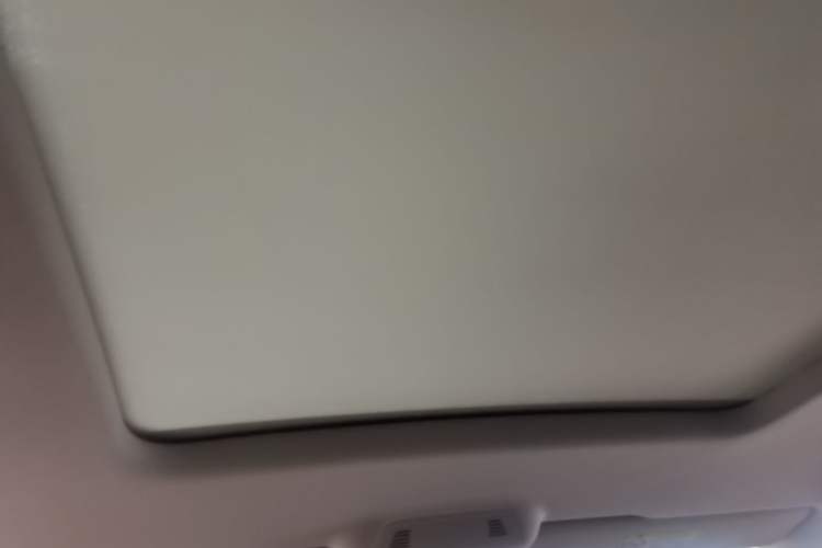 Used Volkswagen Viloran 2024 330TSI Business Edition Headliner