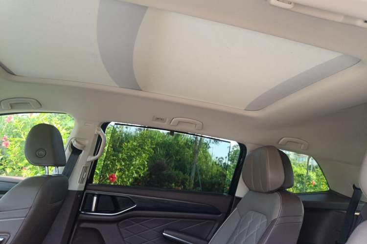 Used Volkswagen Viloran 2024 380TSI Premium Edition Headliner