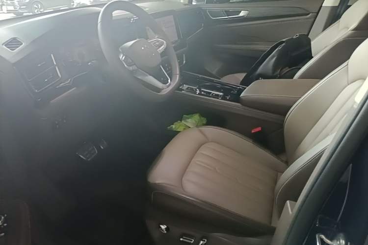 Used Volkswagen Viloran 2024 380TSI Luxury Edition Left Front Seat