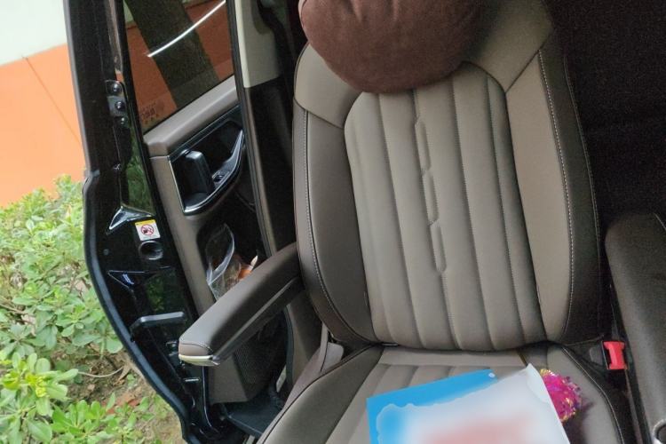 Used Volkswagen Viloran 2024 380TSI Luxury Edition Left Rear Seat