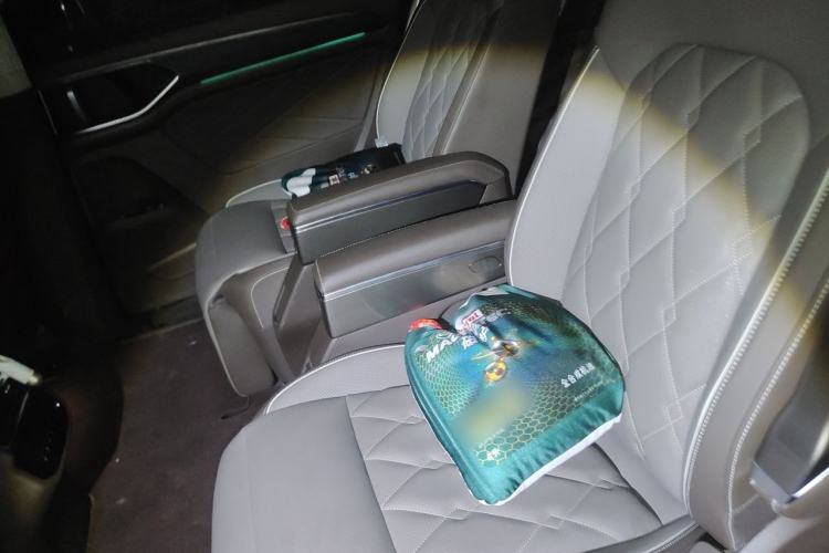 Used Volkswagen Viloran 2024 380TSI Premium Edition Left Rear Seat