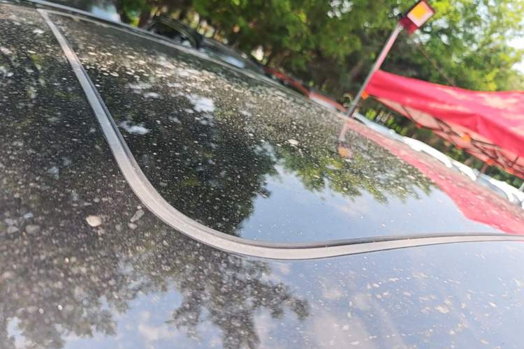 Used Volkswagen Viloran 2024 330TSI Business Edition Roof