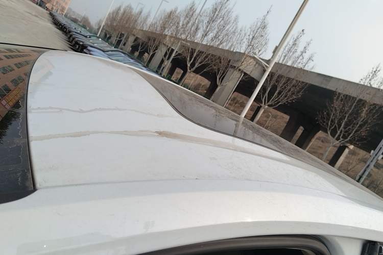 Used Volkswagen Viloran 2024 330TSI Luxury Edition Roof
