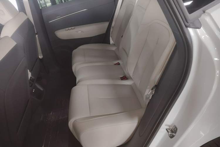 Used Volkswagen Zhongdu 08 2026 Model Single-Motor Low-Configuration Left Rear Seat