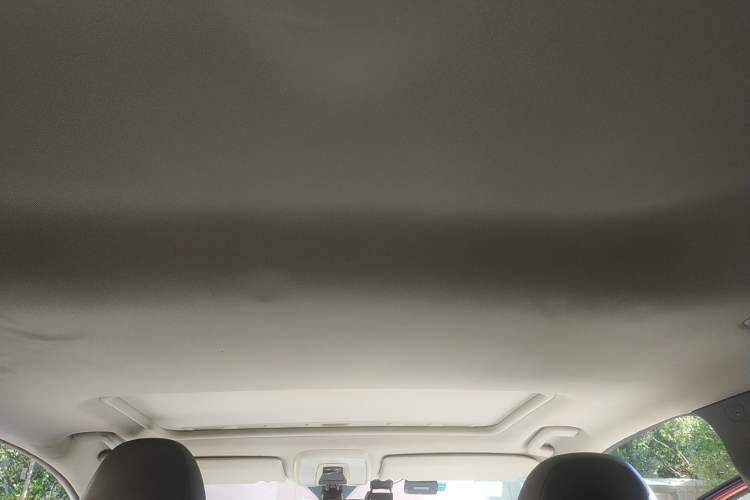 Used Volvo C30 2010 2.0 ZhiShang Version Headliner
