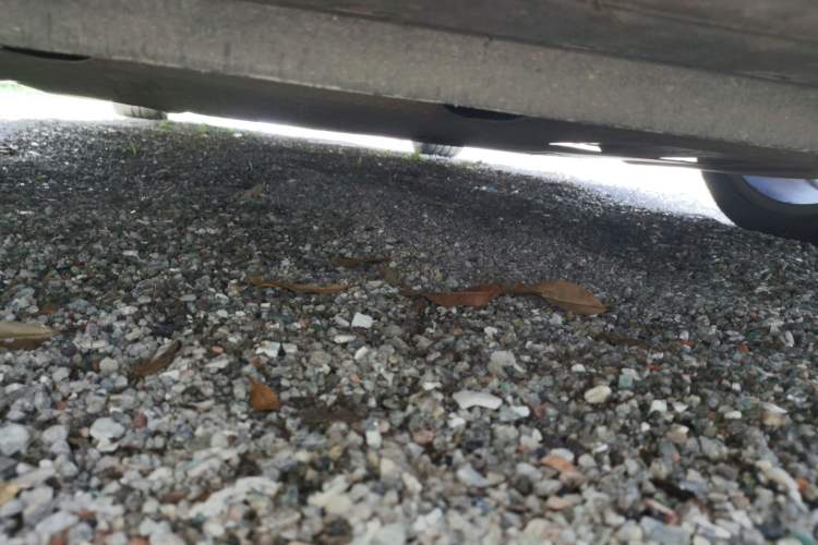 Used Volvo C30 2012 2.0L Aktiv Dynamic Package Edition Chassis Front