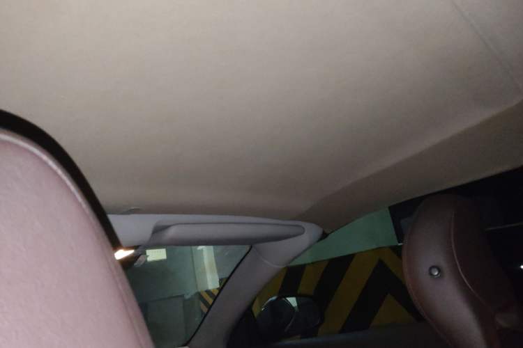Used Volvo C70 2010 2.5T T5 Headliner