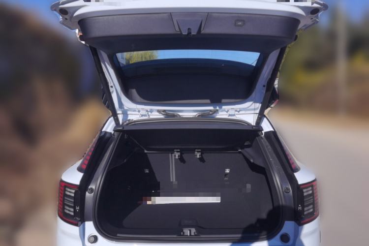 Used Volvo EX30 2025 Rear-Drive Long-Range Plus Model Trunk