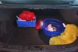 Thumbnail 20