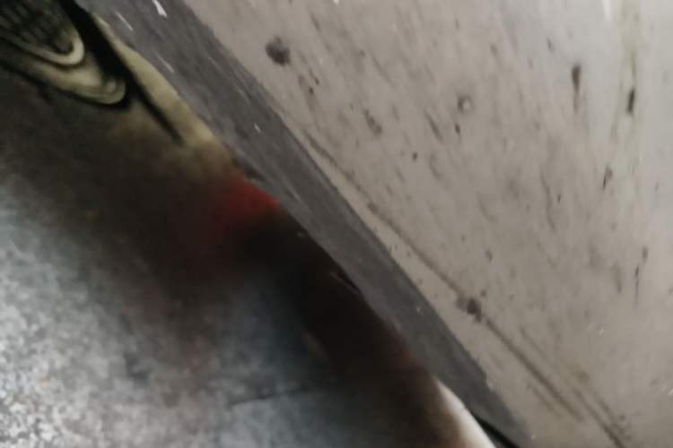 Used Volvo S60 2013 T5 Smart Edition Chassis Front Right