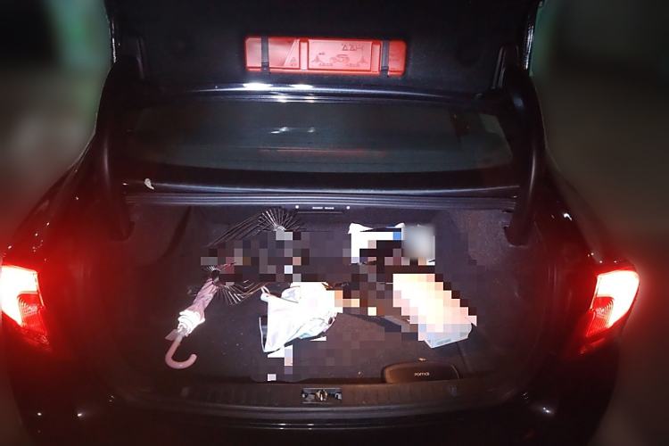 Used Volvo S60 2014 T5 Zhiya Edition Trunk