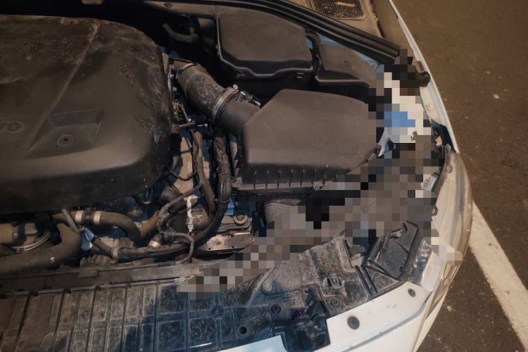 Used Volvo S60 2016 S60L T4 Zhiyuan Edition Engine Bay Left