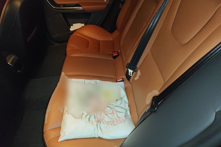 Used Volvo S60 2017 S60L T3 Smart Upgrade Edition Left Rear Seat
