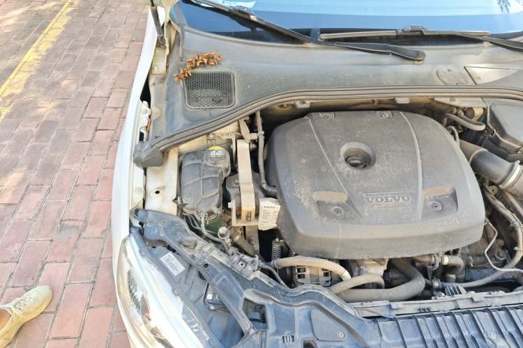 Used Volvo S60 2017 S60L T3 Smart Upgrade Edition Engine Bay Right