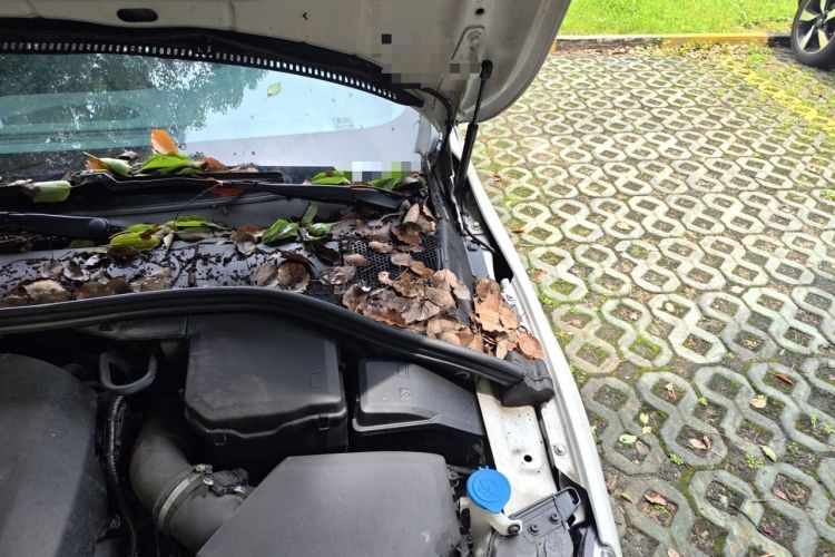 Used Volvo S60 2018 S60L T3 Smart Progress Edition Engine Bay Left