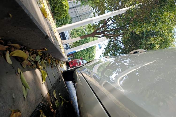 Used Volvo S60 2018 S60L T3 Smart Upgrade Edition Right Side Sill