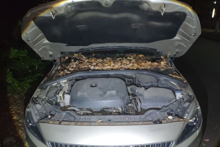 Used Volvo S60 2018 S60L T4 Smart & Ambitious Edition Engine Bay