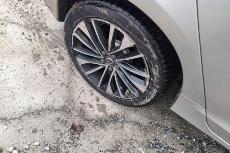Used Volvo S60 2019 S60L T5 Smart Range Edition Exterior 5