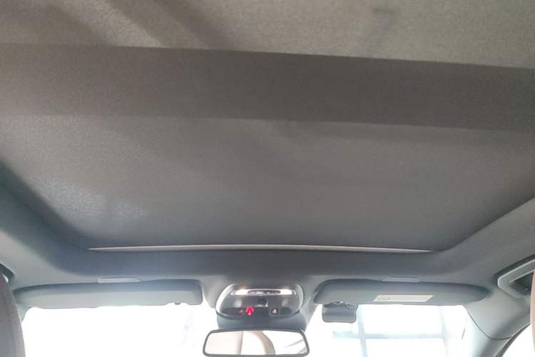 Used Volvo S60 2020 T4 Zhiyi Luxury Edition Headliner