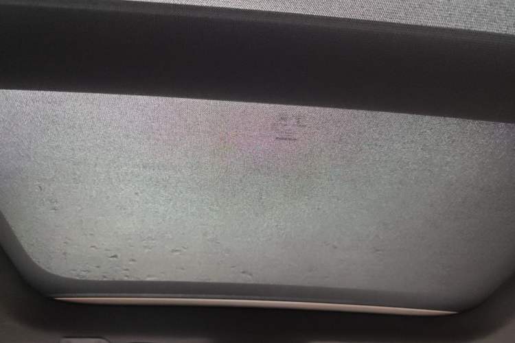 Used Volvo S60 2020 T4 Zhiyi Luxury Edition Headliner