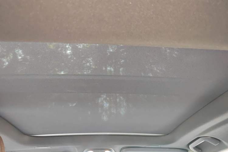 Used Volvo S60 2020 T4 Zhiyi Luxury Edition Headliner