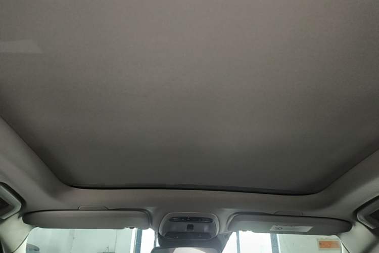 Used Volvo S60 2021 T4 Zhiyi Luxury Edition Headliner