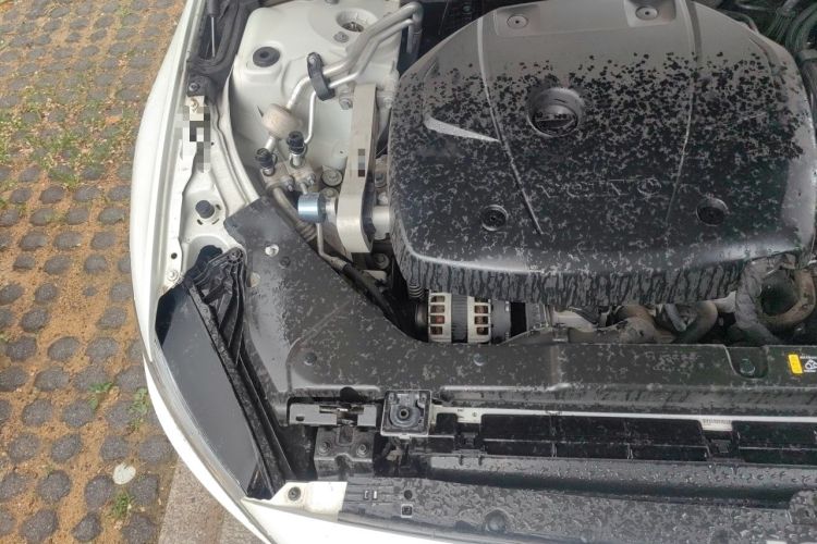 Used Volvo S60 2021 T4 Zhiyi Luxury Edition Engine Bay Right