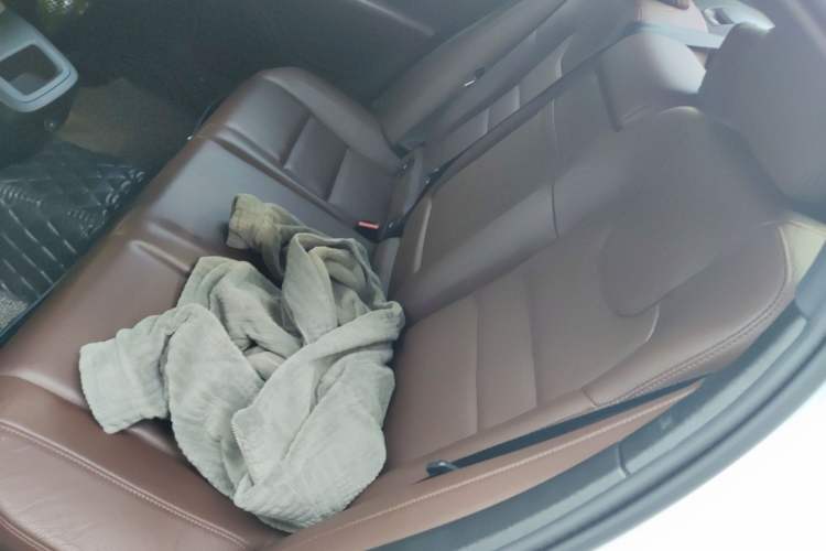 Used Volvo S60 2021 T4 Zhiyi Luxury Edition Left Rear Seat