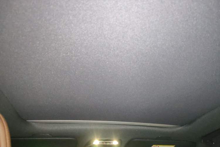 Used Volvo S60 2022 B4 Zhiyi Luxury Edition Headliner