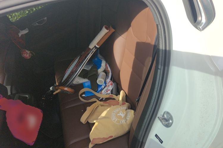 Used Volvo S60 2023 B4 Zhiyi Luxury Edition Left Rear Seat