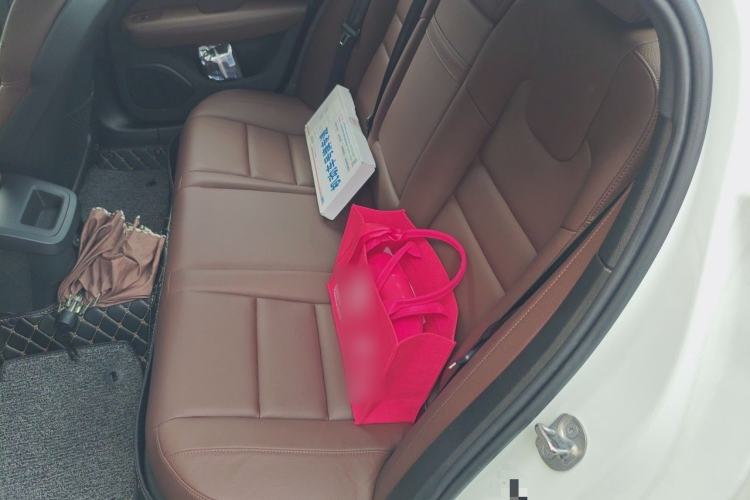Used Volvo S60 2024 B4 Zhiyi Luxury Edition Left Rear Seat