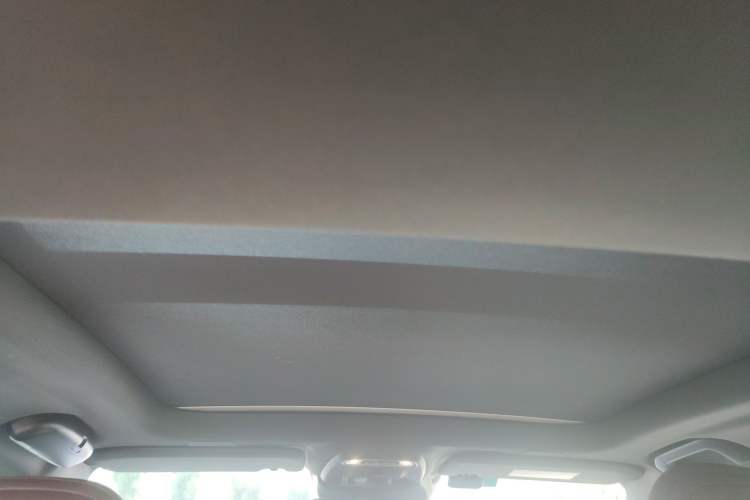 Used Volvo S60 New Energy 2021 T8 E-Drive Hybrid Four-Wheel Drive Smart Luxury Edition Headliner