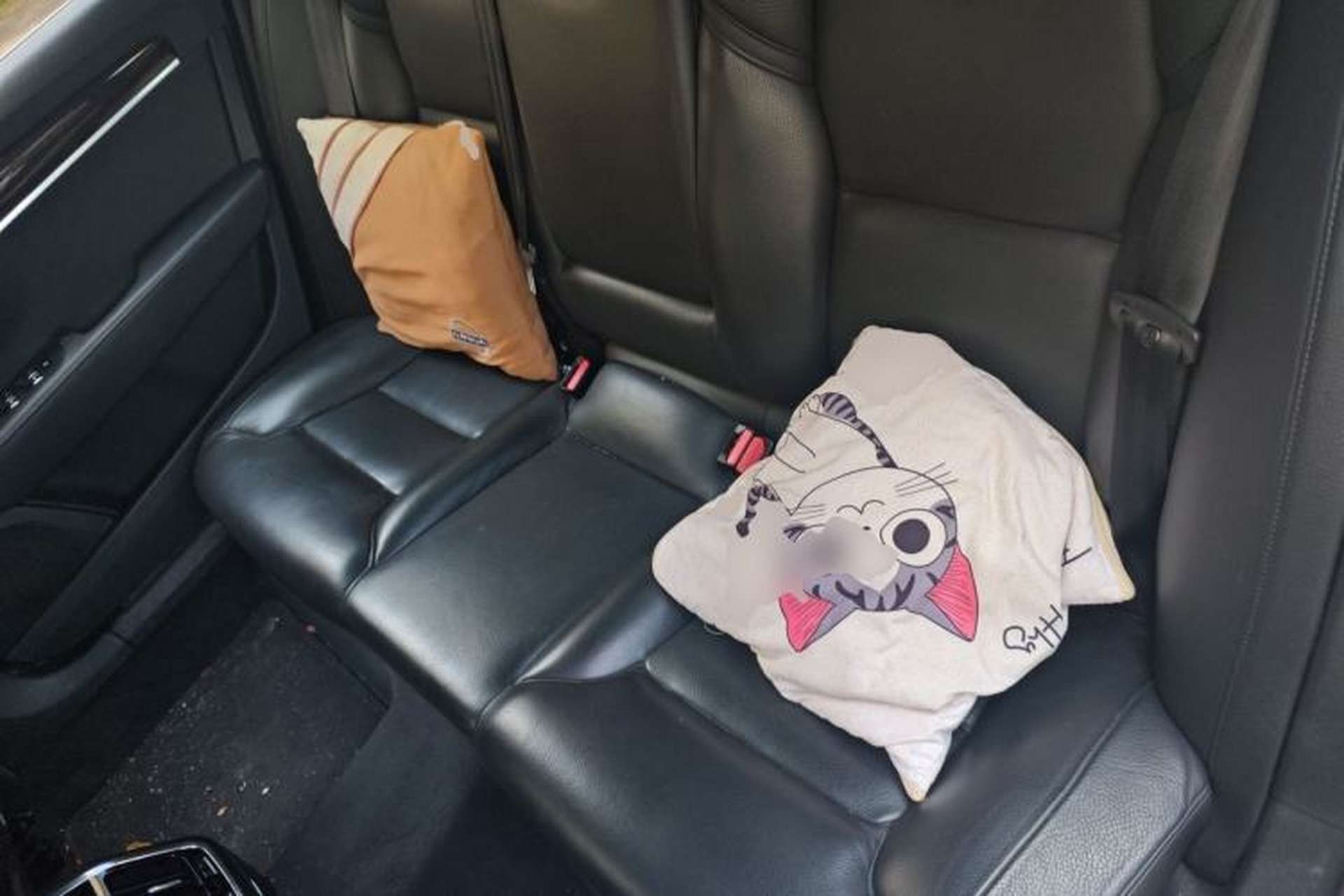 Used Volvo S90 2017 T4 Zhiyuan Edition Left Rear Seat