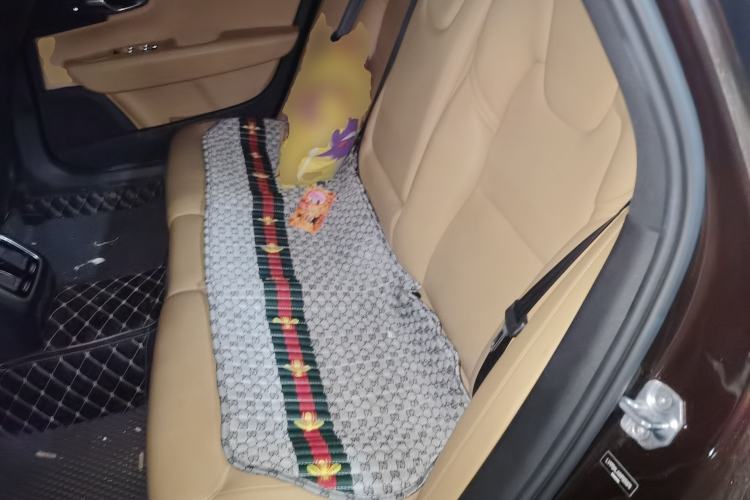Used Volvo S90 2017 T4 Zhiyuan Edition Left Rear Seat