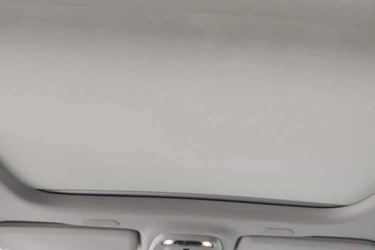 Used Volvo S90 2019 T5 Zhiyuan Edition Headliner