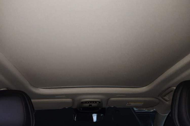 Used Volvo S90 2019 T5 Zhiyi Edition Headliner
