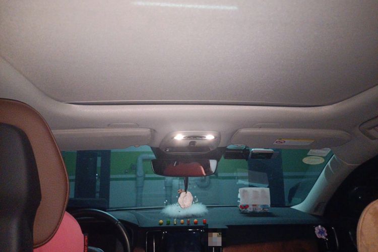 Used Volvo S90 2019 T5 Zhiyi Edition Headliner