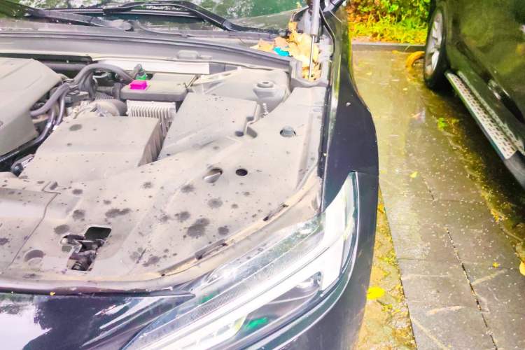 Used Volvo S90 2020 T5 Zhiyi Luxury Edition Engine Bay Left
